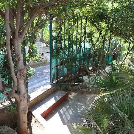 Casa Elvira 泰拉西尼