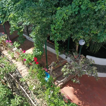 Hébergement de vacances Casa Elvira Terrasini